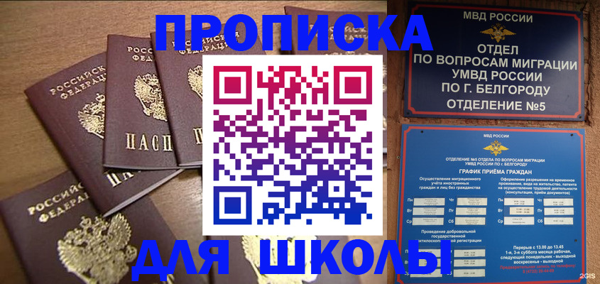 прописка гарантия в Вышнем Волочке